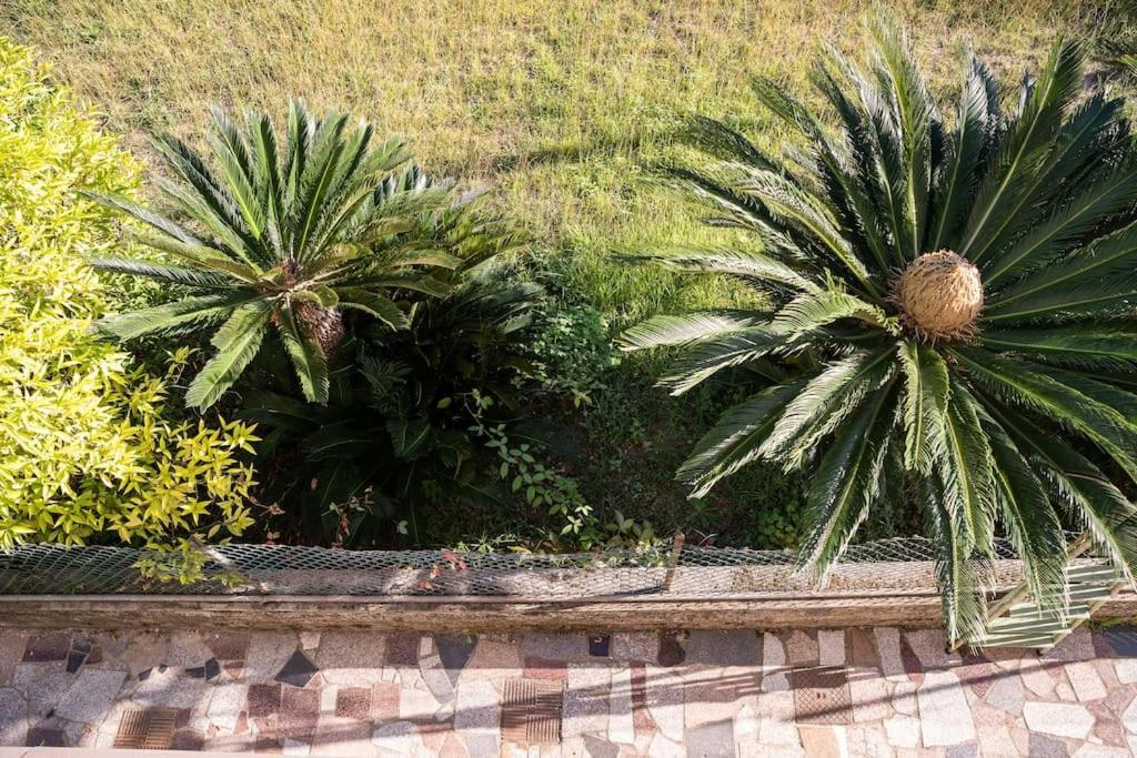 Art Of Living 100 Meters From The Sea. Apartamento Marina di Pietrasanta Exterior foto